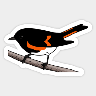 American Redstart Sticker